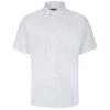 Bigdude Button Down Oxford Short Sleeve Shirt White Tall