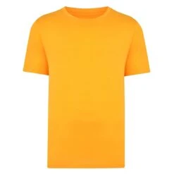 Bigdude Plain Crew Neck T-Shirt Orange